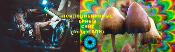 твердый Горно-Алтайск