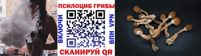 Купить где  Аргун  Галлюциногенные грибы мицелий 